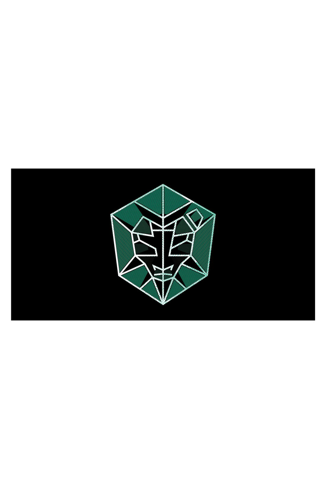 flag - STMPD