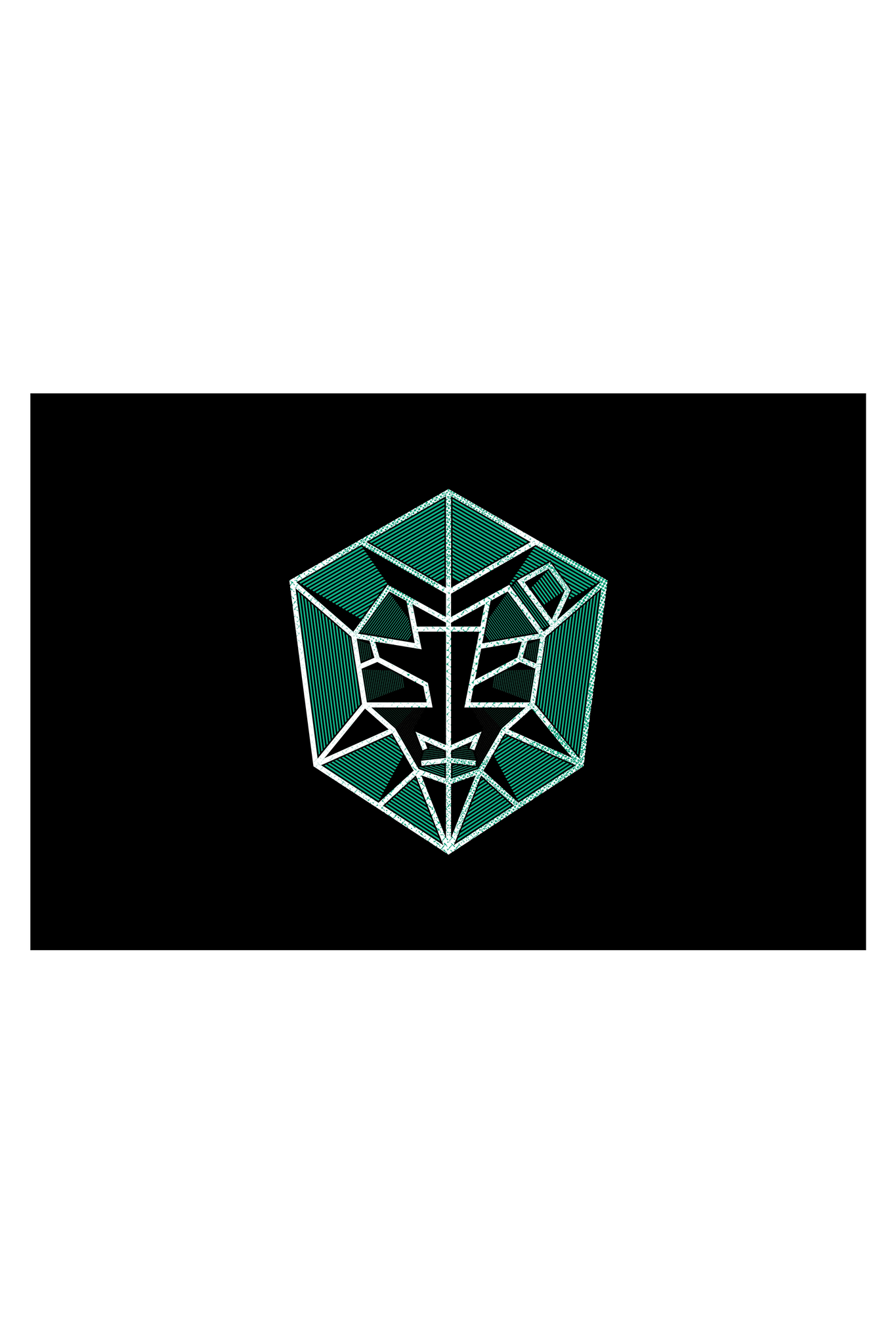 flag - STMPD